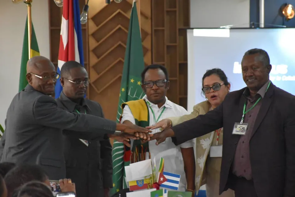 Five delegates join hands over small Ethiopian, Cuban and African Union flags.